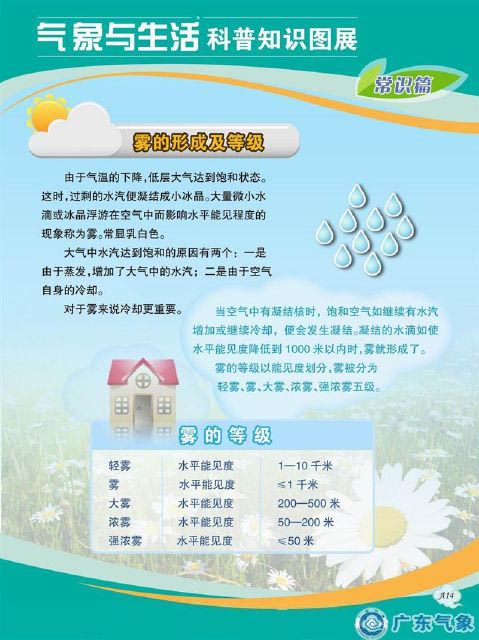 雾的形成及等级