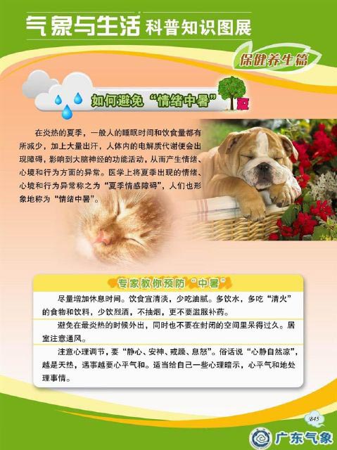 如何避免“情绪中暑”