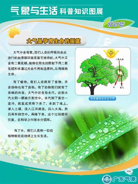 大气是孕育生命的摇篮