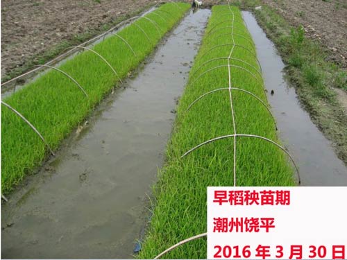 广东省农业气象旬报(2016年第9期)