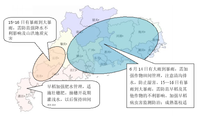 广东省农业气象周报（2016年第4期）