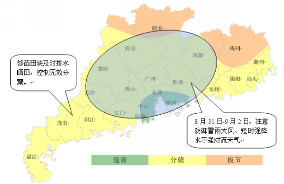 广东省农业气象周报（2016年第15期）