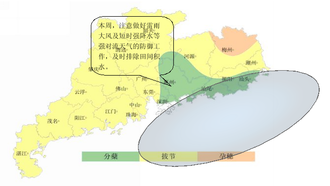 广东省农业气象周报(2016年第16期)