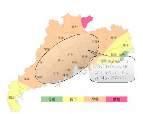 广东省农业气象周报(2016年第18期)