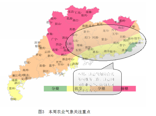 广东省农业气象周报（2016年第19期）