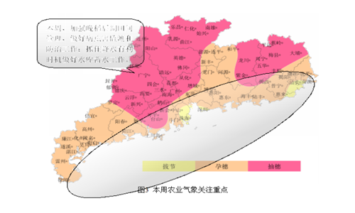 广东省农业气象周报（2016年第20期）