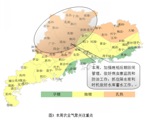 广东省农业气象周报（2016年第21期）