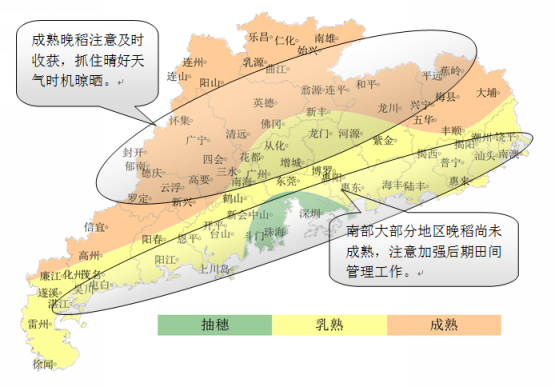广东省农业气象周报(2016年第24期)