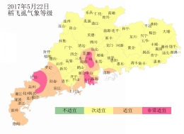 广东省农业气象周报（2017年第21期）