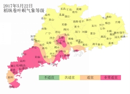 广东省农业气象周报（2017年第21期）