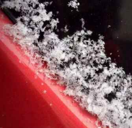 广东省2016年1月：降水异常偏多