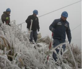 广东省2016年1月：降水异常偏多