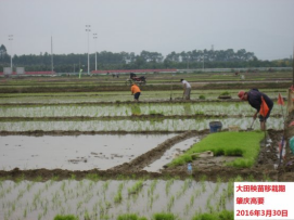 广东省2016年3月：降水显著偏多