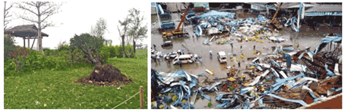 广东省2016年4月：气温显著偏高，降水偏多，日照偏少