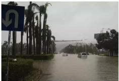 广东省2017年9月：气温偏高、降水略偏少、日照偏多