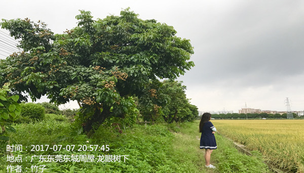 8日到9日中南部有中到大雨局部暴雨