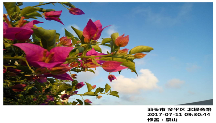 未来三天广东多云为主，有分散（雷）阵雨