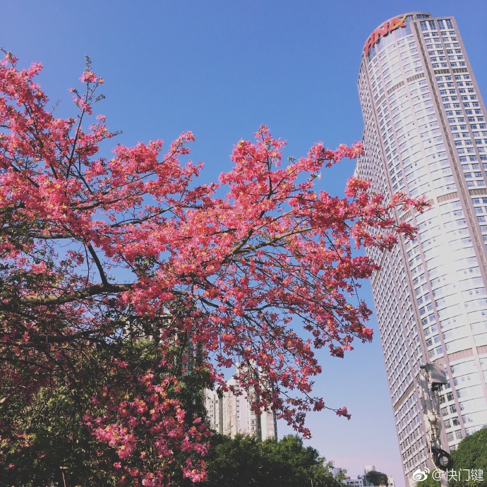 未来三日广东大部分市县多云间晴