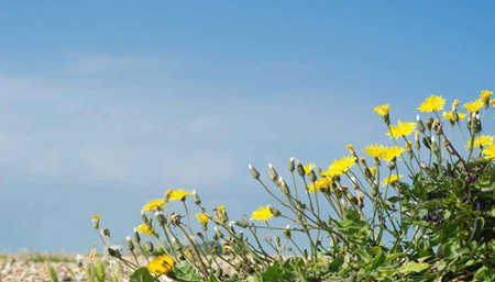 8-9日受冷空气影响 广东大部晴冷昼夜温差大