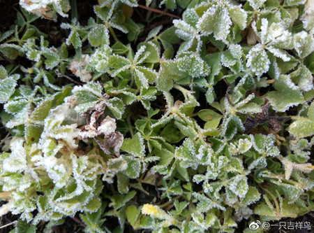 22-23日广东云量增多 气温回升