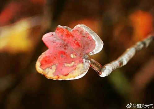 6-7日广东降雨明显，8-9日寒潮携风带雨入粤