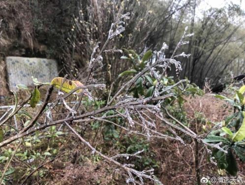 6-7日广东降雨明显，8-9日寒潮携风带雨入粤