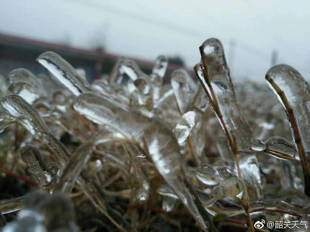 7日广东仍有大雨到暴雨 8-9日寒潮携雨入粤