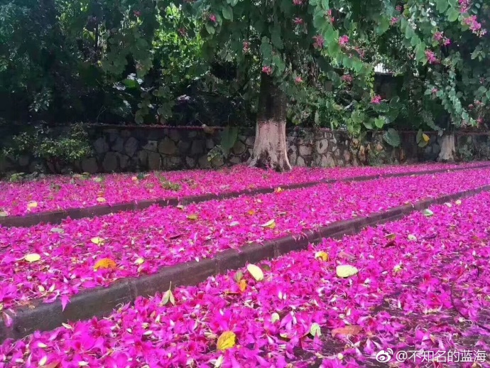 别怪我没告诉你，天气画风要变了！