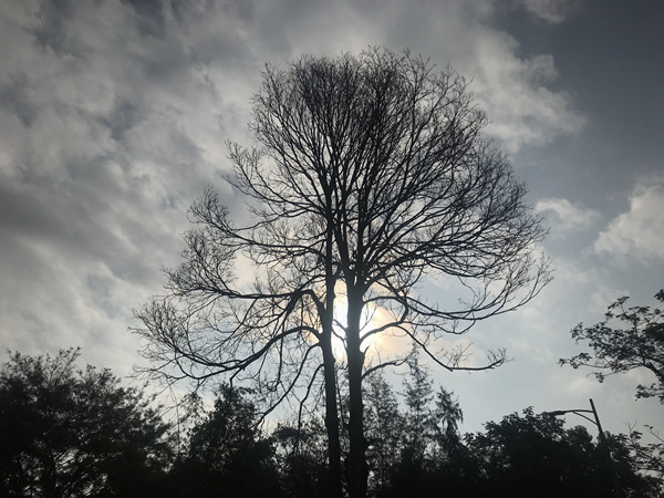 27日夜间至28日有阵雨