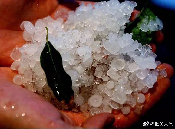 乍暖还寒 7-8日广东气温将骤降