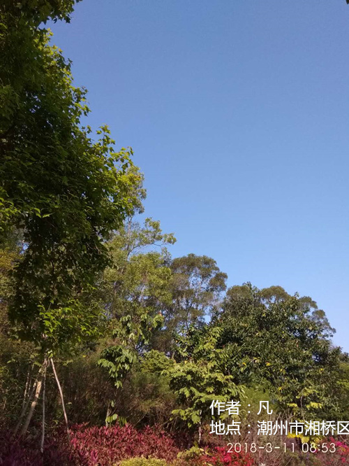 气温继续回升 广东西部转分散小雨