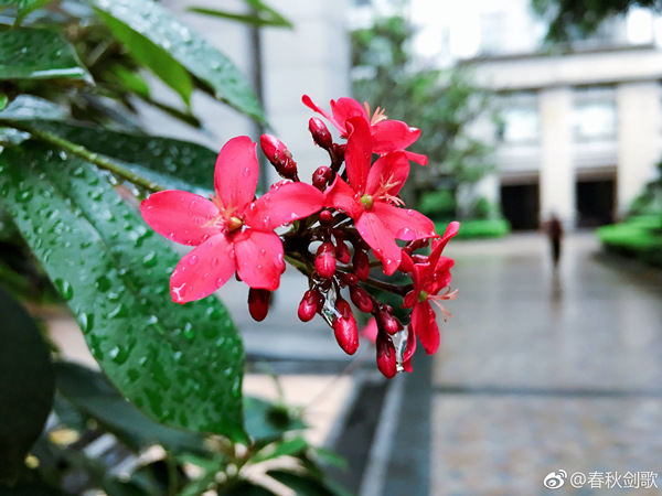 19-20日暴雨与冷空气联手造访广东