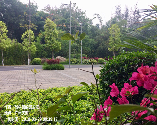 春风徐来 和暖湿润