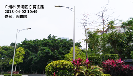 清明前广东天气平稳 清明假期有冷空气影响