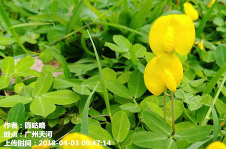 清明假期广东有明显降温和大风天气