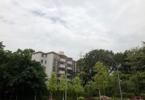 8日起广东转晴 白天气温回升