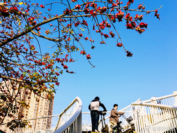 9-10日云量渐增气温渐升