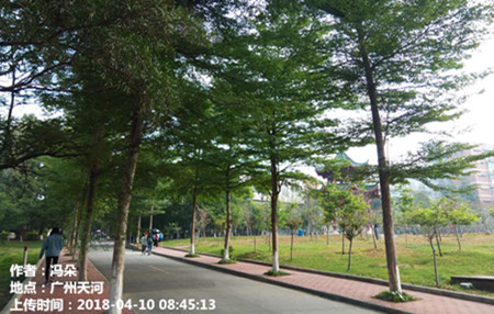 未来三天广东大部云量增气温升