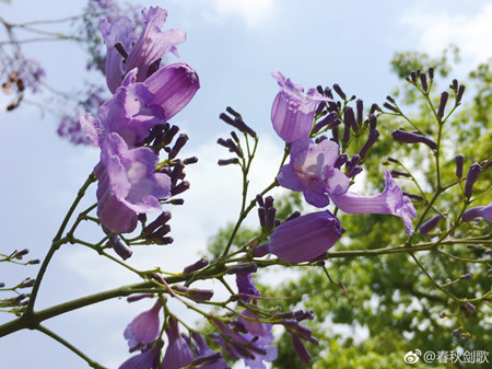 明后天广东大部多云到阴 14-15日冷空气影响  