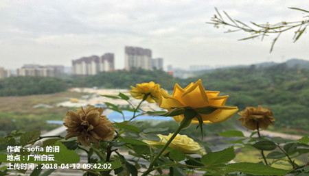 14-15日冷空气影响 广东转雷雨气温下降