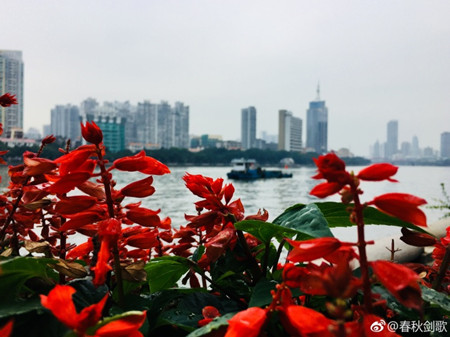 10日粤西和珠三角部分市县仍有明显降水