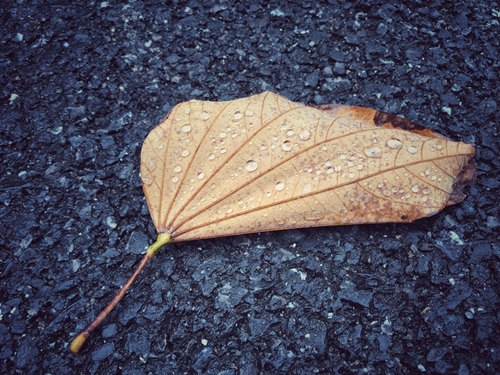 12-13日广东大部有暴雨
