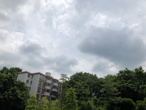 未来三天广东多阵雨雷雨