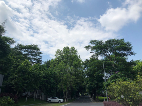 广东炎热持续雷雨明显