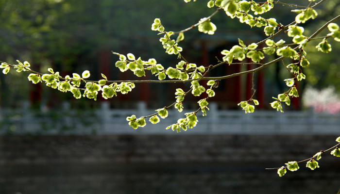 广东省气象局结束气象灾害（暴雨）Ⅳ级应急响应