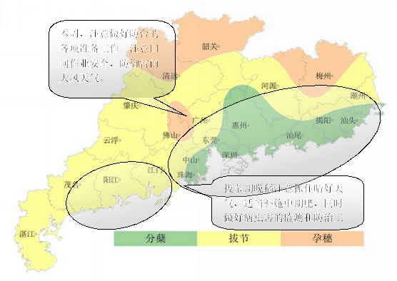 农业气象|广东省农业气象周报（2016年第17期）
