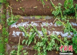 气象盘点|广东省2017年10月我省气温略偏高，降水显著偏多，日照正常。