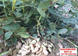 气象盘点|广东省2017年10月我省气温略偏高，降水显著偏多，日照正常。