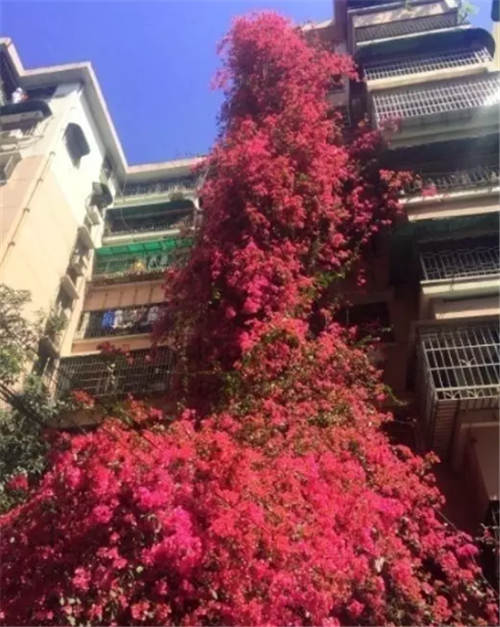 这个清明秒变“冬”?