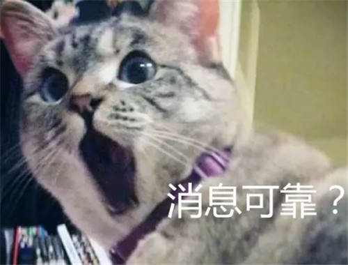 这个清明秒变“冬”?